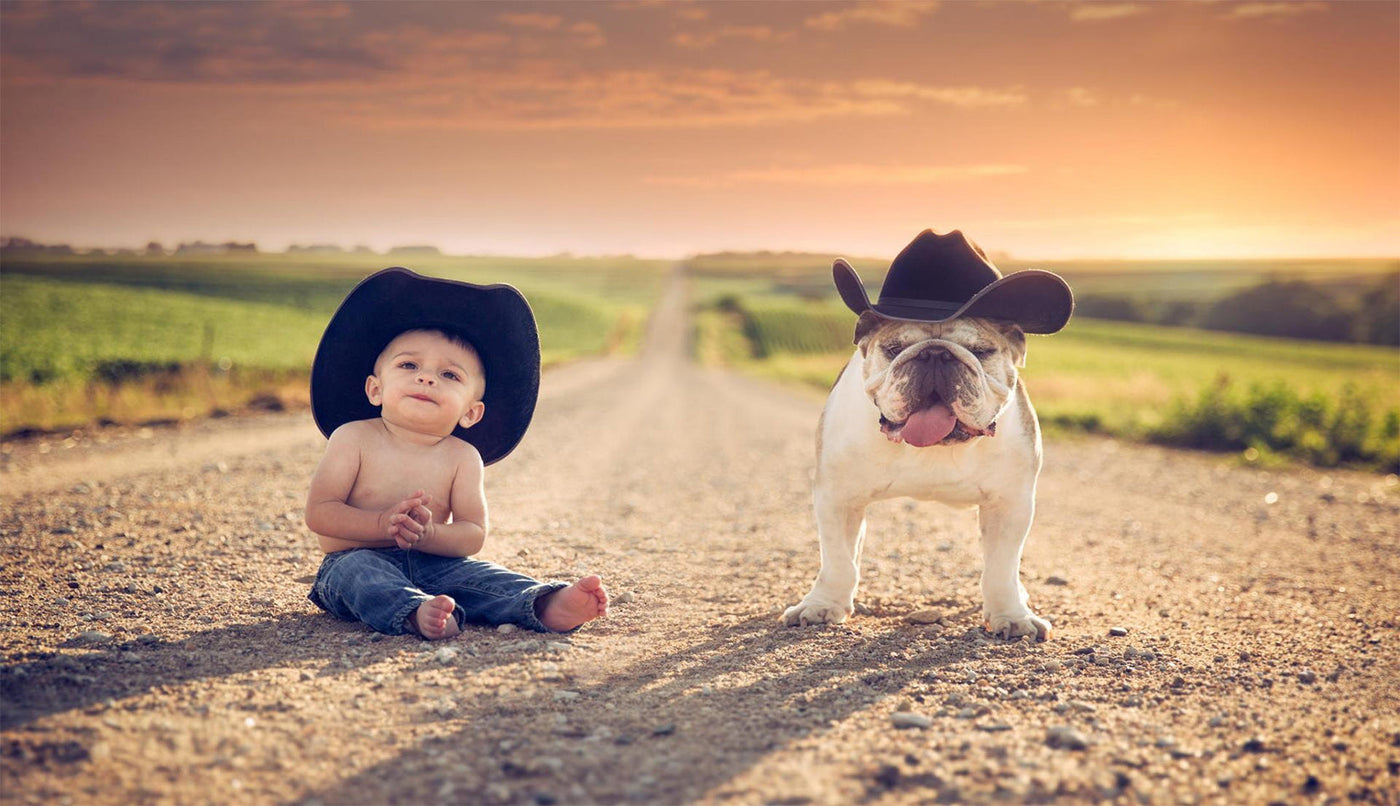 Infant & Toddler Boys Western Jeans